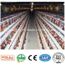 Cages de volaille industrielle d&#39;équipement d&#39;élevage de poulet